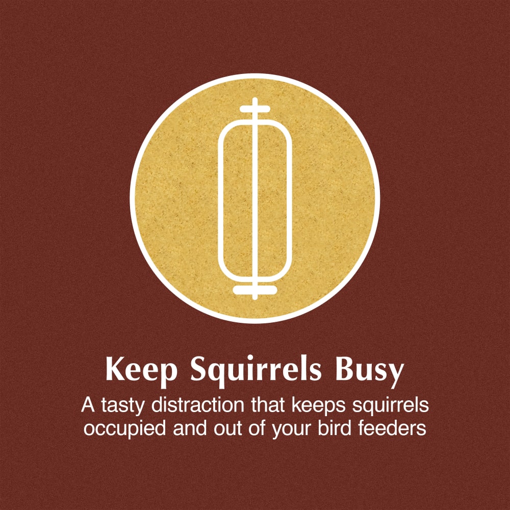Sweet Corn Squirrel