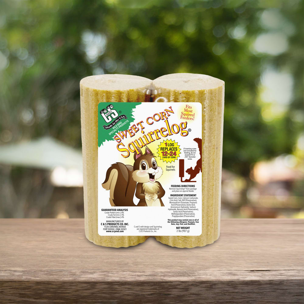 Sweet Corn Squirrel