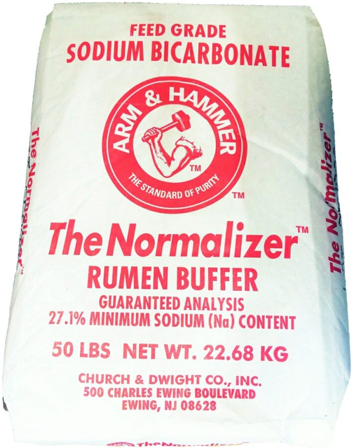 Sodium Bicarbonate - 50 lb