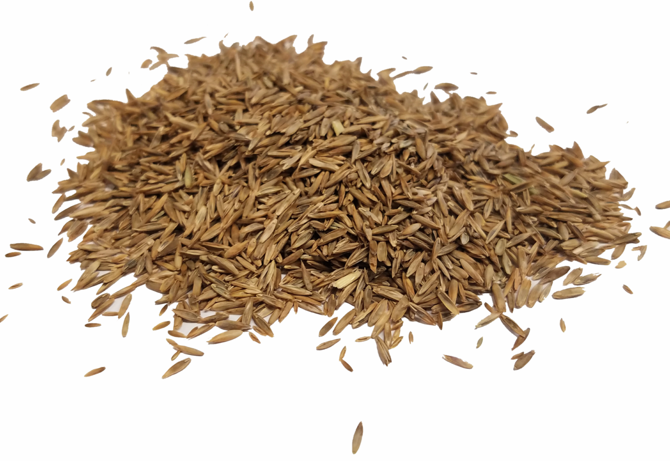 Supreme, Bulk Seed