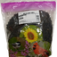 Black Oil Sunflower Seed