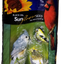 Black Oil Sunflower Seed