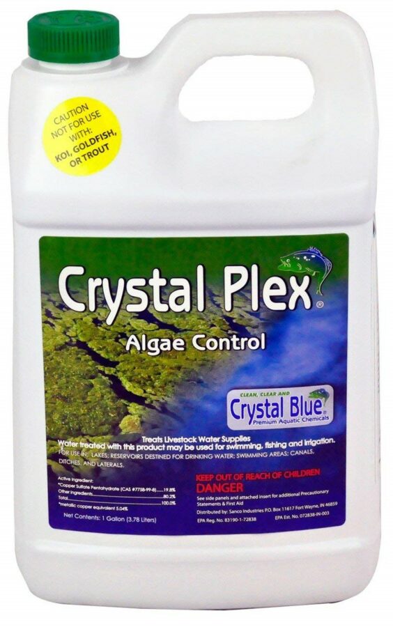Algae Control - 1 gal