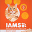 Cat Healthy Adult w/Chicken