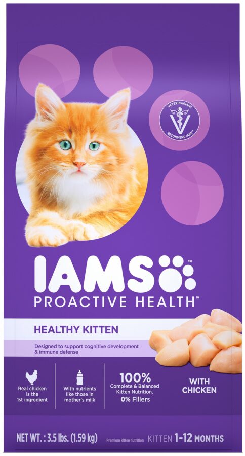 Healthy Kitten