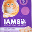 Healthy Kitten