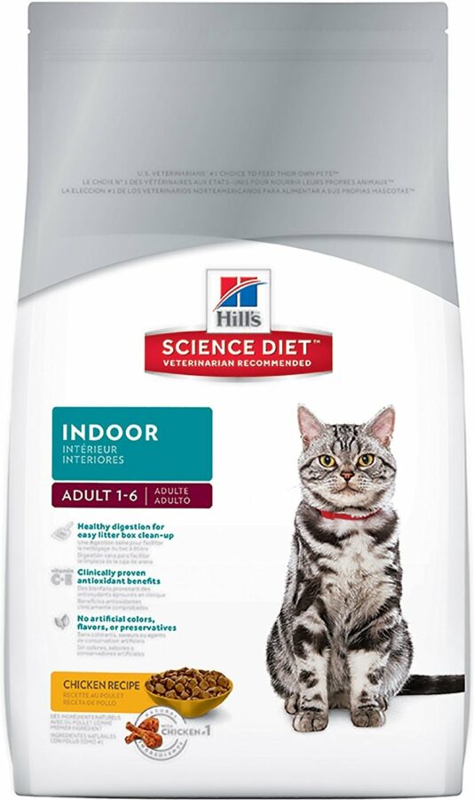 Indoor Cat