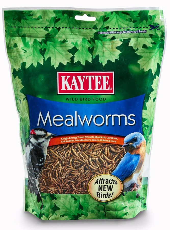 Mealworms