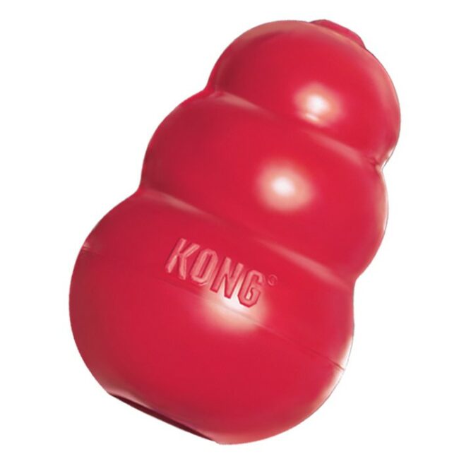 Classic Dog Toy
