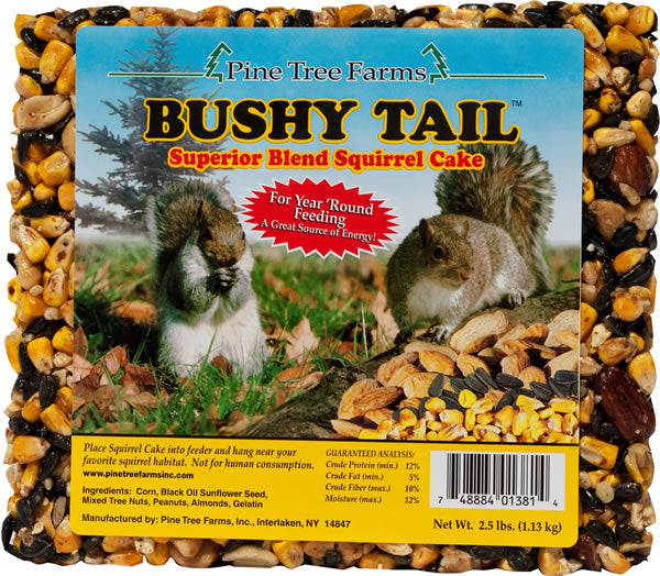 Bushy Tail Squirrel Cake - 2.5 lb