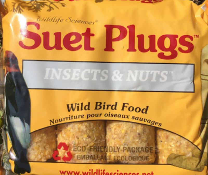 Suet Plus